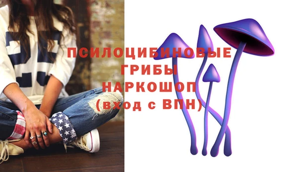 герыч Верхний Тагил