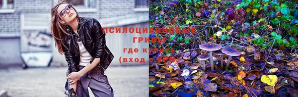 герыч Верхний Тагил