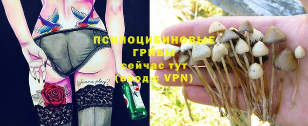 spice Сосновка