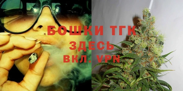 СК Сосновый Бор