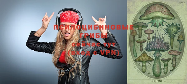 гидра Верея
