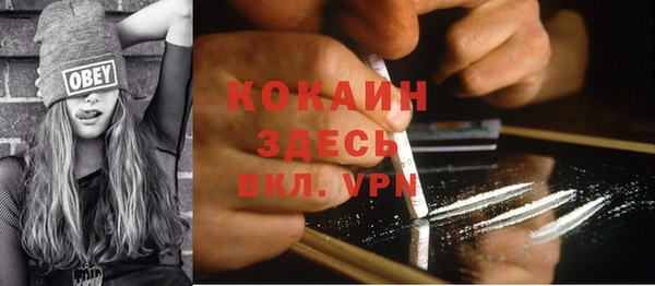 гидра Верея