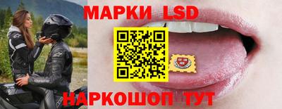 прущие грибы Первоуральск