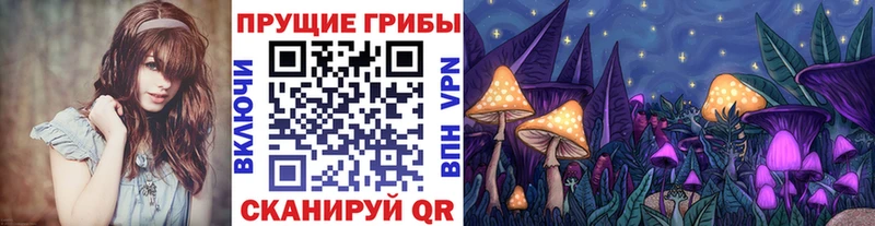 где можно купить   Северобайкальск  Псилоцибиновые грибы GOLDEN TEACHER 