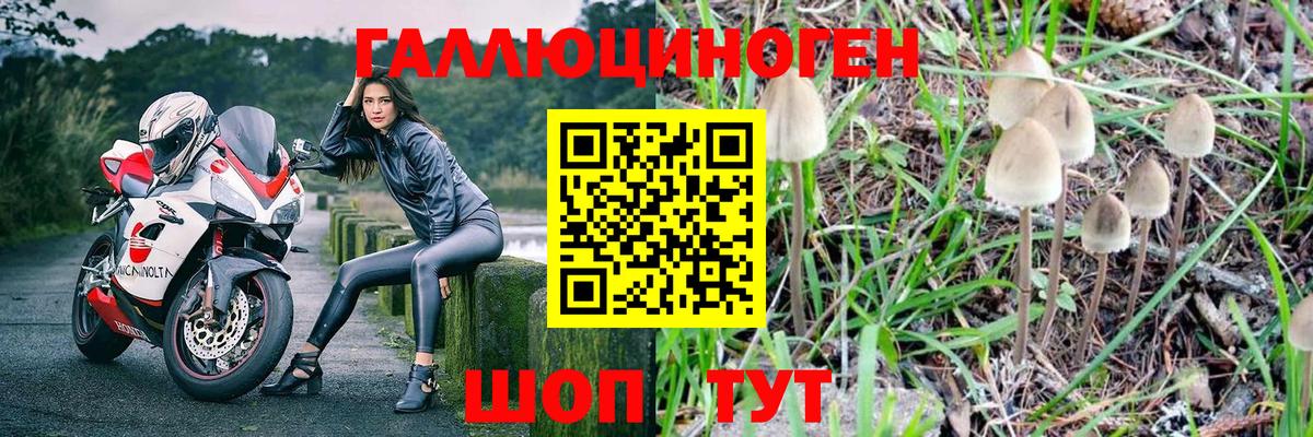 Галлюциногенные грибы Magic Shrooms  Псилоцибиновые грибы Psilocybine cubensis  Вход с VPN  Северобайкальск 